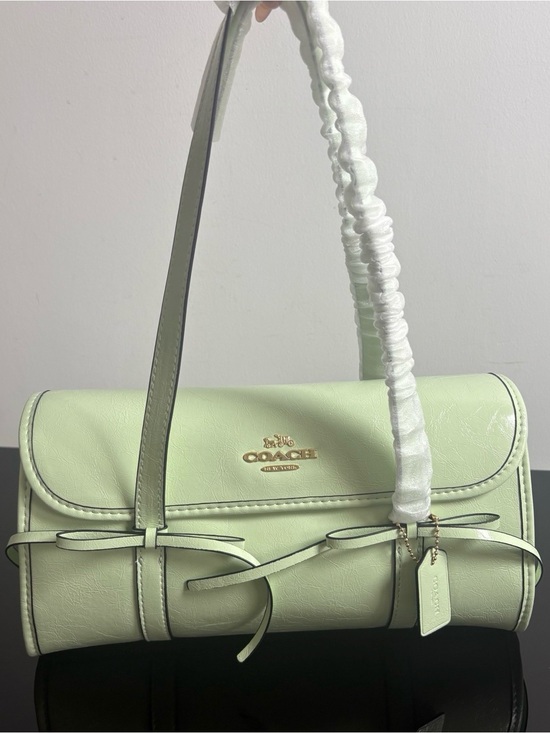 Coach Handbags - Coach Pale Mint Green Leather Shoulder Bag with Bow Straps